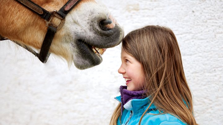 Equitherapie: therapie met paarden als medische behandeling
