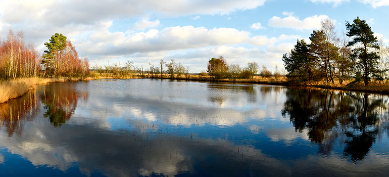 De Deelensche Wasch op De Hoge Veluwe